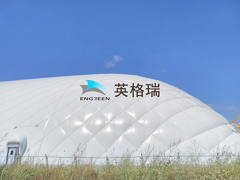 大风中的大香蕉在线电影馆：实力见证安全与稳定